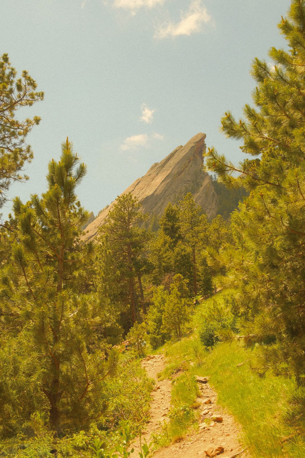 Boulder Hillside