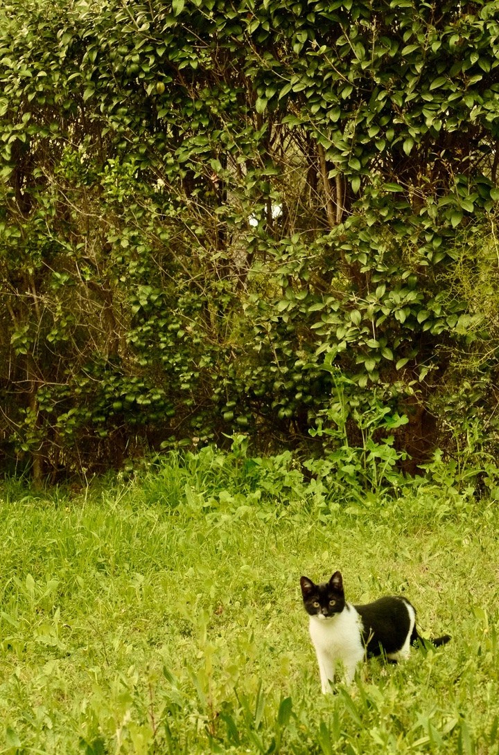 C56e34e9 C143 4a0b 8326 0f30117fd9f4 1 105 C