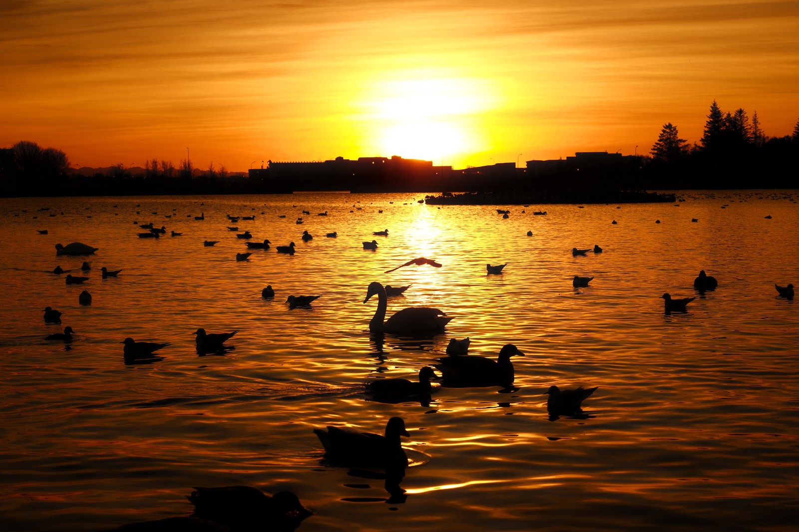 Iceland Bridge Sunset
